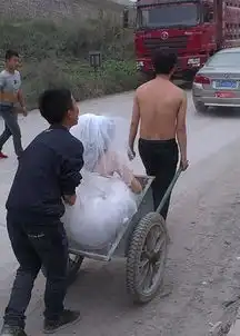 有了这个帽子,再也不担心被晒黑了...
