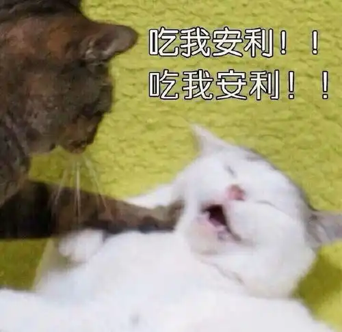 咦咦咦
