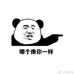 国庆出门,梁静茹给的勇气都不够用了
