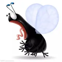 除四害,防疾病,保健康
