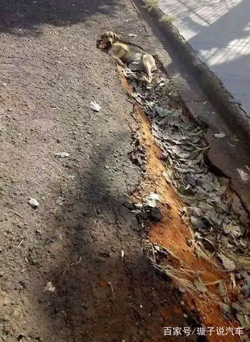 每日一笑室友面膜经常被用,气愤下在袋子上涂层胶水,结果
