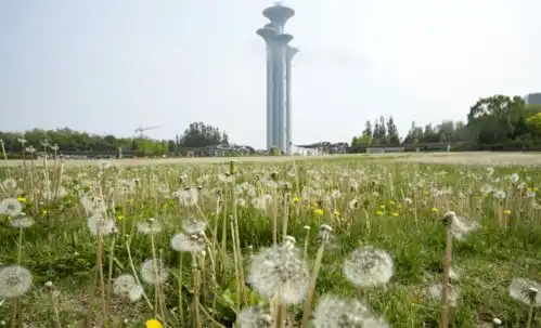 提醒6月6日至7月1日,北京奥林匹克公园中心区暂停开放

