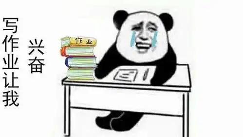 留学生回国不读高职高专,就是摆地摊
