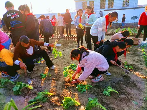 幸福田园,播种快乐海安市大公镇北凌小学开展种植活动
