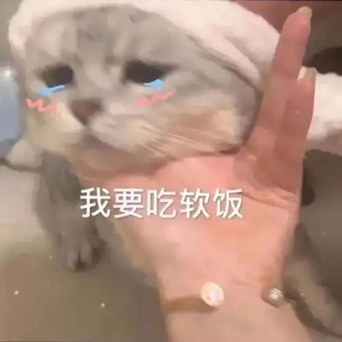 搞笑表情包感谢红包表情包图片大全0901期
