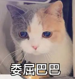 千万劳斯莱斯辽宁街头被撞豪车车主卖房子吧网友为这句话吵翻了......
