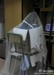 蚊子阻挡了,妈妈再也不用担心我的学习
