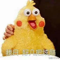有人知道这两张图里的东西叫什么吗

