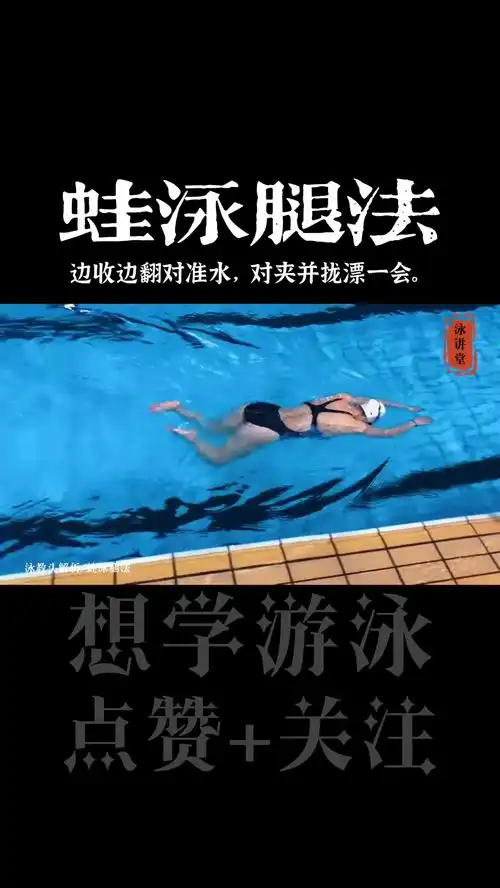 蛙泳腿慢收翻,快蹬夹频率游进
