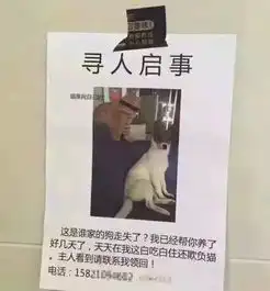 别贴了指望这些寻狗启示找回狗子,你确定不是来搞笑的吗
