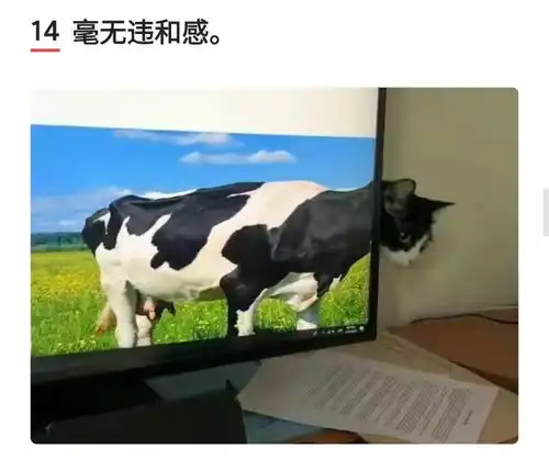 搞笑图集未成年人的崩溃往往就在一瞬间斗地主都不让我玩
