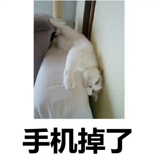 沙雕图片跌倒了,爬起来再哭腾讯新闻
