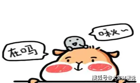 幽默笑话周末一大早,楼下就传来了一声一声杀猪般的惨叫
