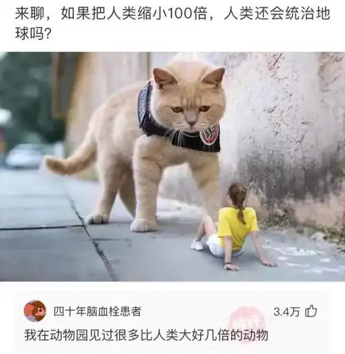 搞笑神评意思就是做完月子回来还是少女
