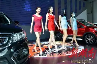 湖南车展香车美女新浪图片
