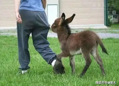 幽默的小故事,如果你阅读了以后,你不笑也得笑
