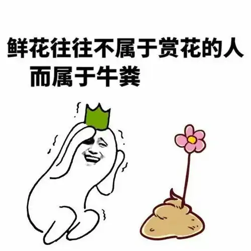 鲜花与牛粪的故事
