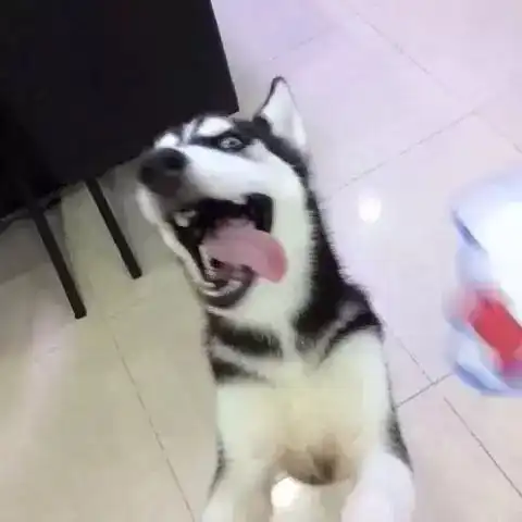 告诉你真相为什么夏天你跑不快
