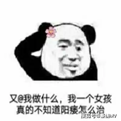 热门的经典微信表情图片2022群聊斗图表情包大全
