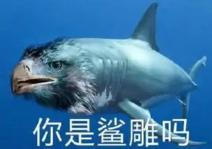 抖音鲨鱼图片分享鲨鱼沙雕表情包大全
