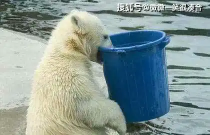 我身在江湖,江湖却没有关于我的传说

