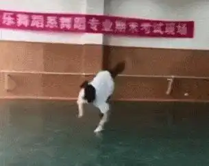 看到这一幕,不得不佩服,原来还有这种操作
