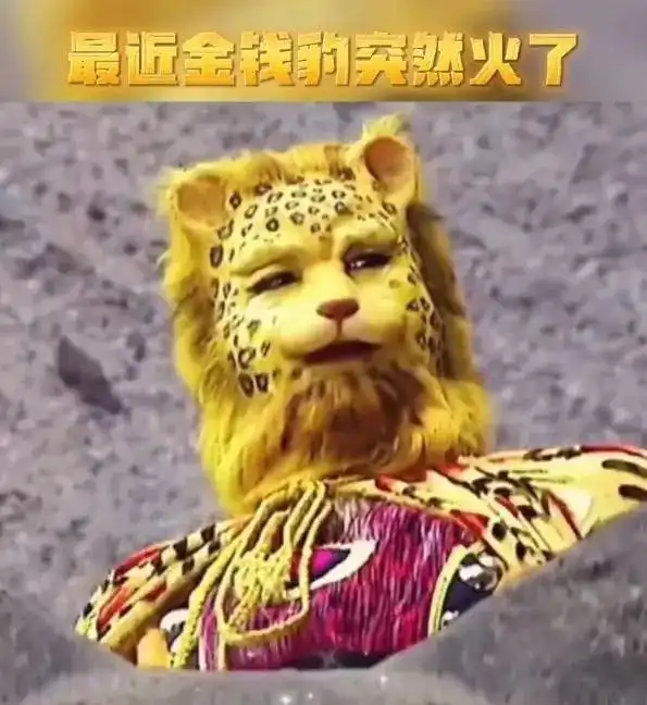 换了就有钱一夜之间,网友都换上最火的金钱豹头像

