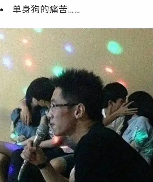 搞笑图片别试图教猪唱歌,不但没有结果还惹猪不高兴
