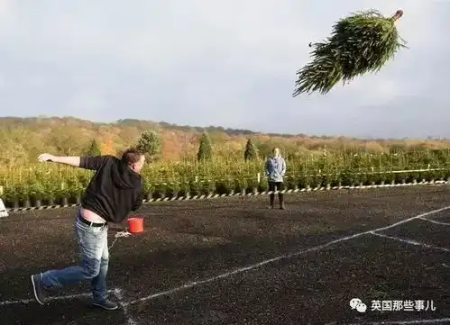 为什么要过圣诞节多一个开心的机会嘛
