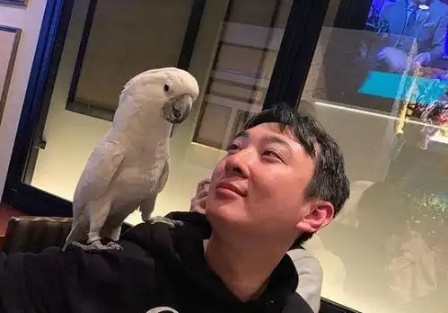 王思聪晒高颜值猫咪新宠,你知道校长有个宠物动物园吗
