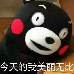 熊本熊搞笑呆萌带字头像2018最新最好的滋味就是耐人寻味

