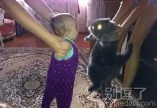 儿童搞笑图片笑话搞笑儿童搞笑图片精选爆笑儿童搞笑图片大全第36页别逗了
