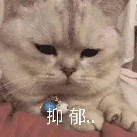 文案你脸颊微红的样子特别像风中的猪头声音
