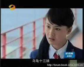 字幕哥别玩了那些让人忍俊不禁的神字幕11

