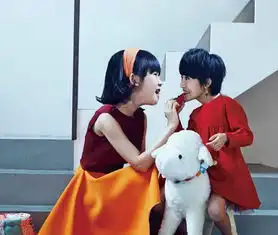 贝儿与陆毅夫妻调换头像遭恶搞

