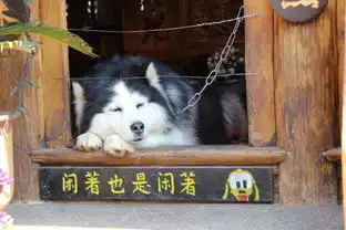 搞笑幽默段子原来晚上睡的是双胞胎嫂子,难怪觉得不对劲呢
