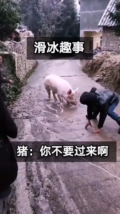 天冷了,大家记得刹车啊搞笑视频搞笑配音
