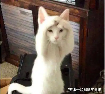 幽默段子搞笑图片咱都认识一周了,有些事情就不瞒你了
