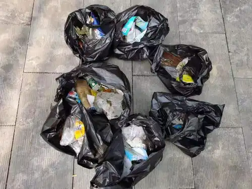 濮阳市第十中学十分美好志愿者服务队开展我为社区做贡献党员志愿者活动
