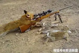 笑话段子这就是你叫我胖子的理由
