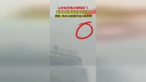 山东航空再次硬核起飞,雪再大也要带你准时回家安全出行下雪了社会百态
