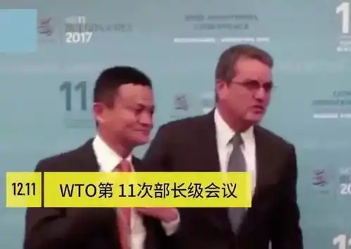 给国人长脸wto争吵了20年,马云一个提议,164个国家举双手赞同
