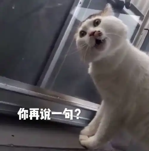 搞笑表情包图片我没事,我很好,我开车去接你
