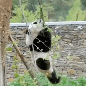 从我爸书柜里翻出了这张照片,我是不是闯祸了
