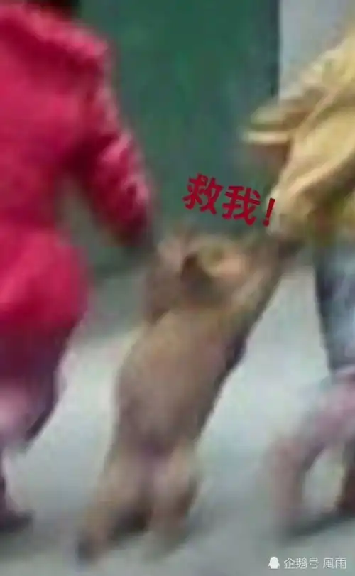搞笑图片日常更十五
