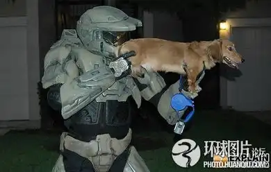 hold不住惊喜连连的搞笑图
