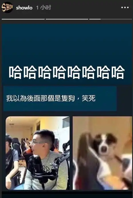 被传已和简恺乐解约还给足了分手费,罗志祥晒搞笑图片心情大好

