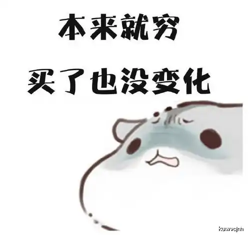 买东西前的思考,斗图表情包搞笑图片

