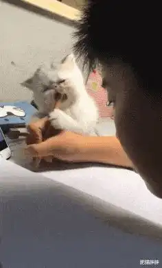 在老婆的包里翻到了这个,这有啥用处哈哈哈哈哈哈哈哈
