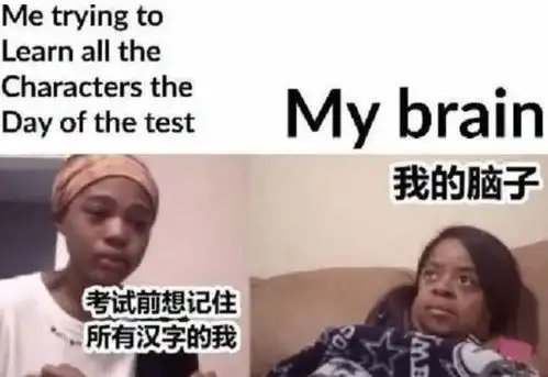 老外用梗图吐槽学中文,感觉不太聪明的样子,看完笑出鹅叫
